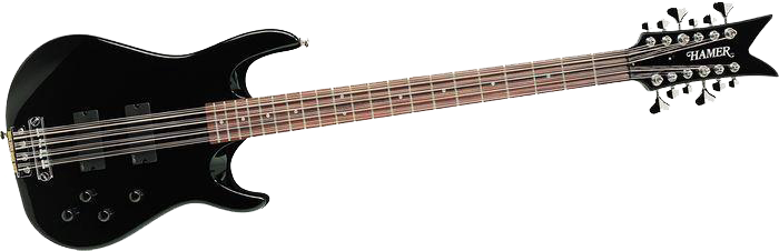 12 String Electric Bass